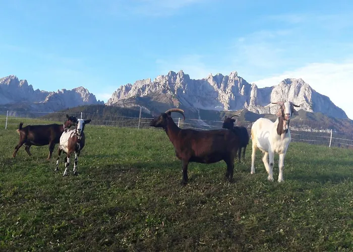 Waldhof Apartment Going am Wilden Kaiser