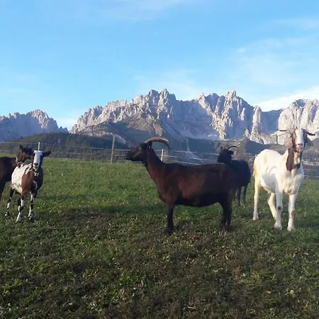Waldhof Apartmán Going am Wilden Kaiser